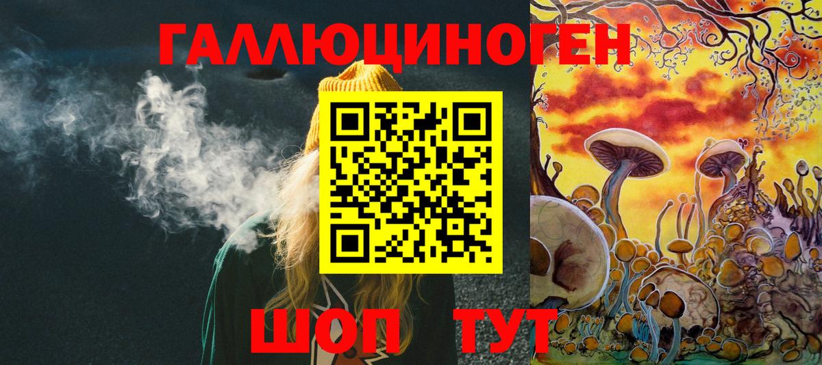 Псилоцибиновые грибы Psilocybe  Вход с VPN  Астрахань  Псилоцибиновые грибы GOLDEN TEACHER 