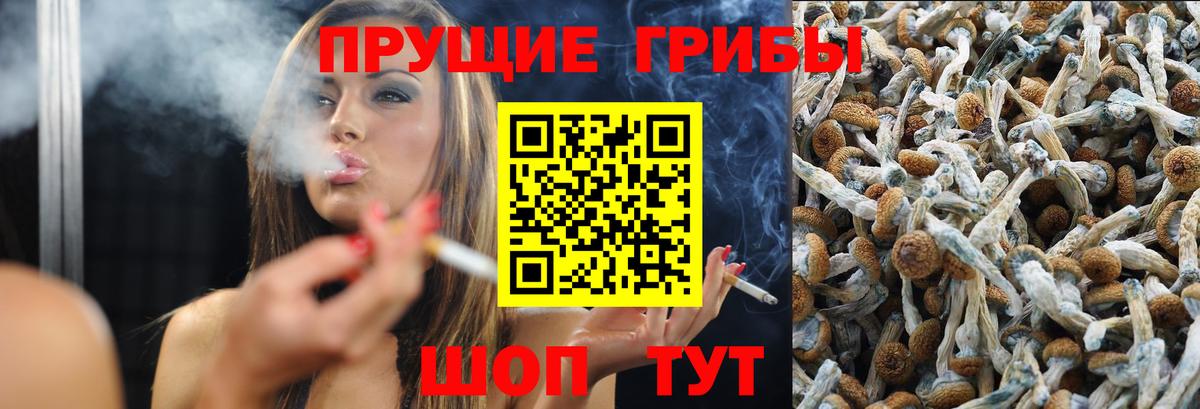 Галлюциногенные грибы мухоморы Астрахань